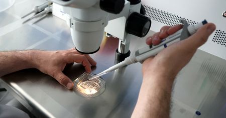 Wygaszają program in vitro. To pierwsze miasto w Polsce. Będą kolejne?