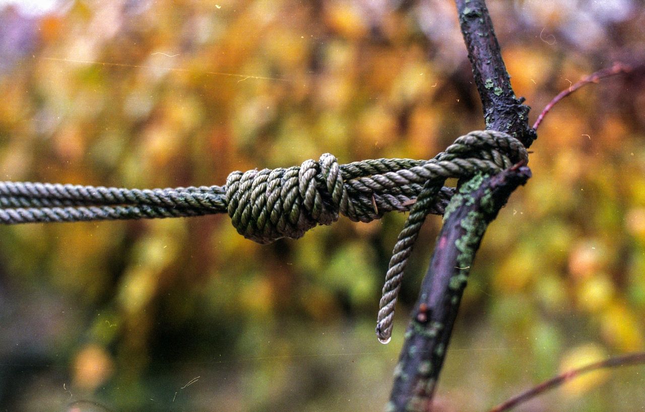 Śląskie. Wisiał na drzewie z zaciśniętą pętlą. Dramatyczna akcja w Kaletach