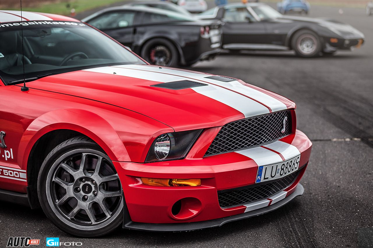 Shelby GT500 (fot.GIIFOTO)