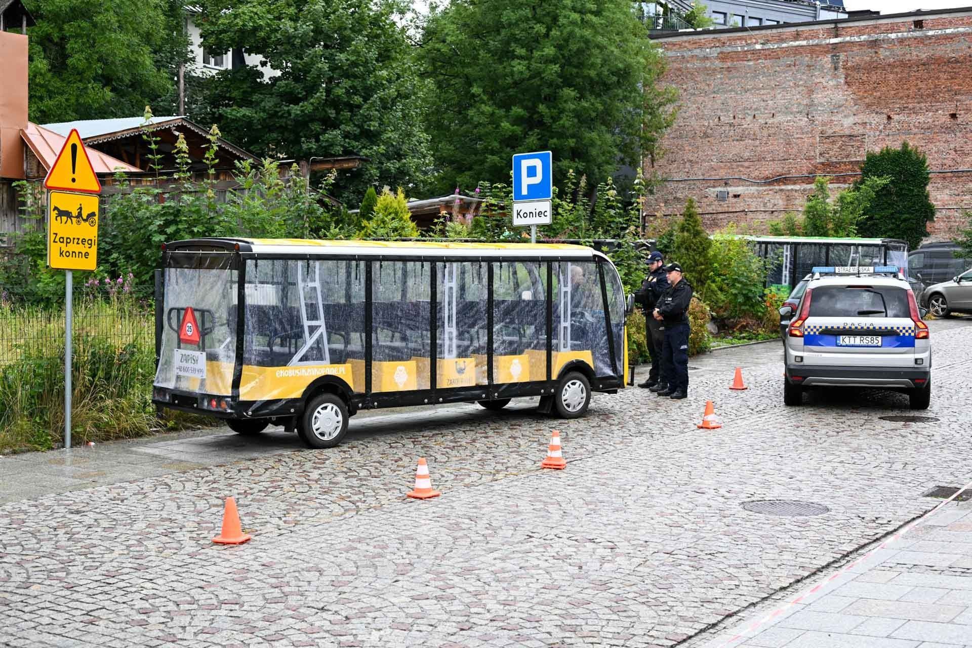 Meleks na postoju dla dorożek konnych