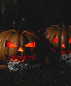 Halloween w Zacharzewie. Dzieci obrzuciły dom kamieniami