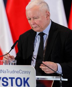 "Euro po 3 zł". Burza po słowach Jarosława Kaczyńskiego. "O sile waluty mówi kurs"