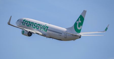Pilot nie miał wyjścia. Awaryjne lądowanie przez bociana
