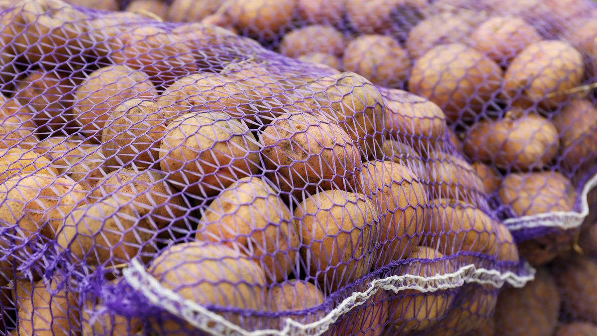 Tony ziemniaków wylądowały na wysypisku