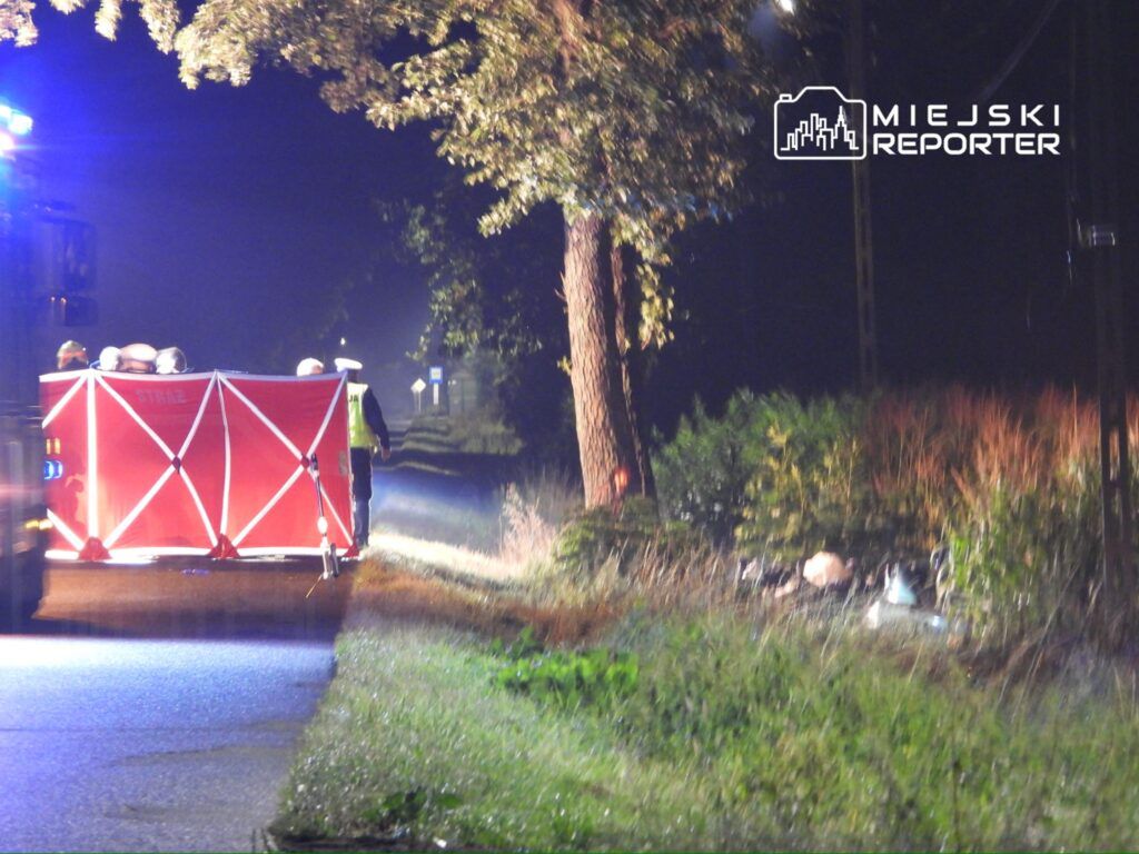 Grupa ratowników przy czerwonym parawanie na poboczu drogi w nocy, w otoczeniu drzew i krzewów.
