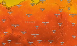 Pogoda na 3 i 4 sierpnia. Powrót tropikalnych upałów. Nawet 37 stopni