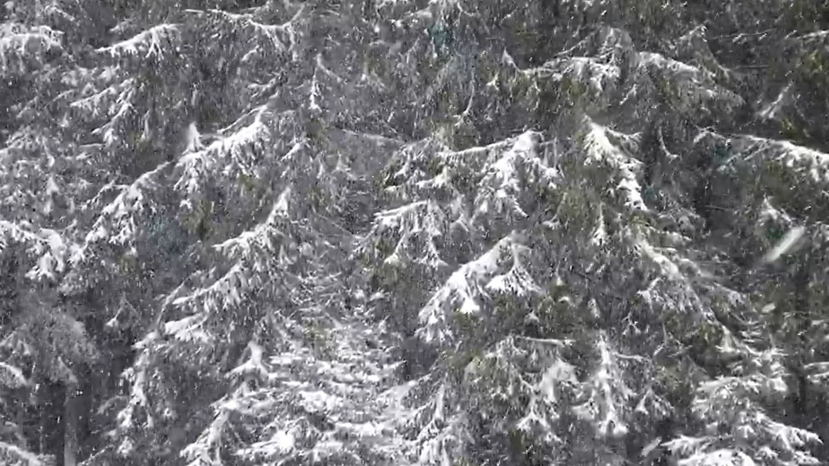 Zima wróciła w Karkonoszach