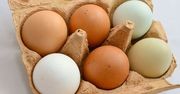 Jaja od kur z wolnego wybiegu mogą zawierać rakotwórcze dioksyny