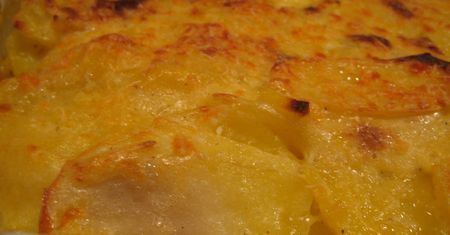 Suszone ziemniaki au gratin