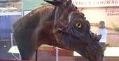 Magiczny dinozaur