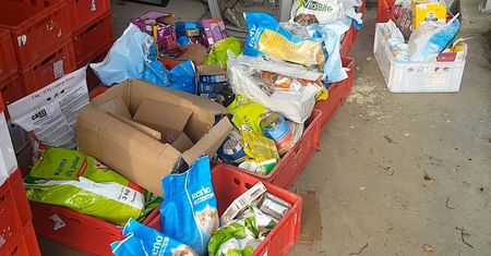 Nasi Czytelnicy zorganizowali zbiórkę dla psiaków ze schroniska [ZDJĘCIA]