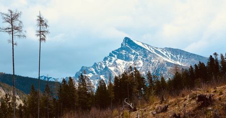 Wieża widokowa na górze Malnik. Nowy hit turystyczny z widokiem na Tatry