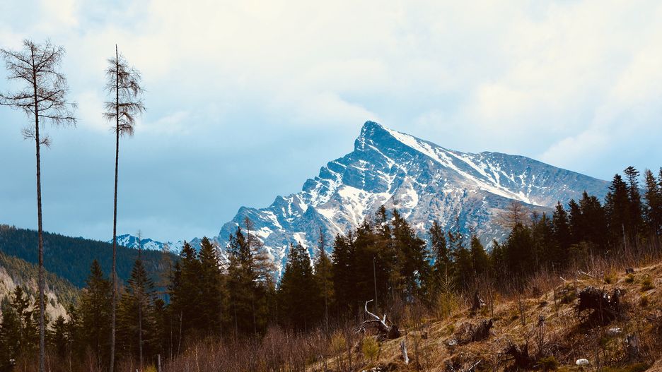 Na górze Malnik w Muszynie powstanie wieża widokowa z widokiem na Tatry Słowackie