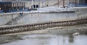 Warszawa: Poziom wody w Wiśle coraz niższy. Padł kolejny niechlubny rekord