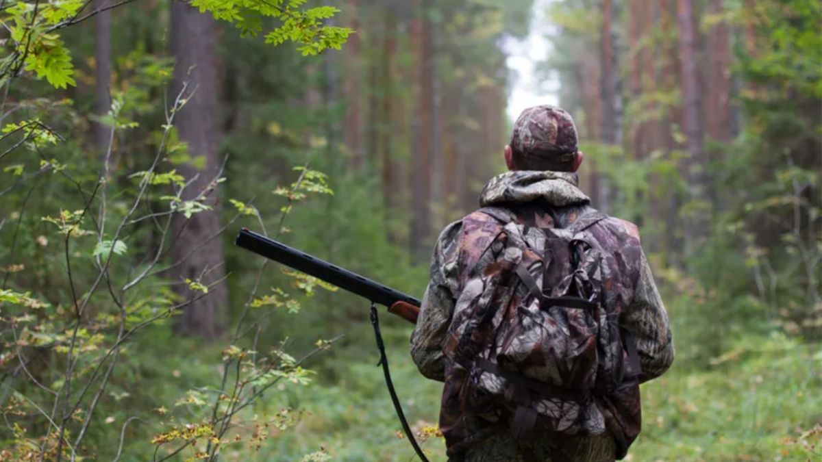 Kontrowersje wokół odstrzału wilków na Słowacji