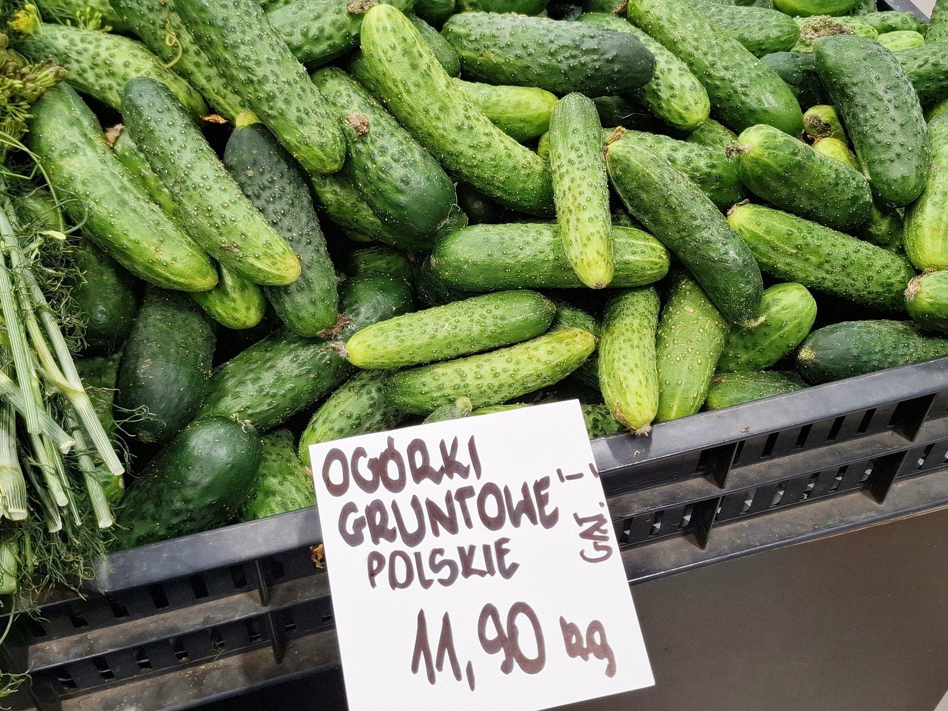 Ceny ogórków w Bydgoszczy