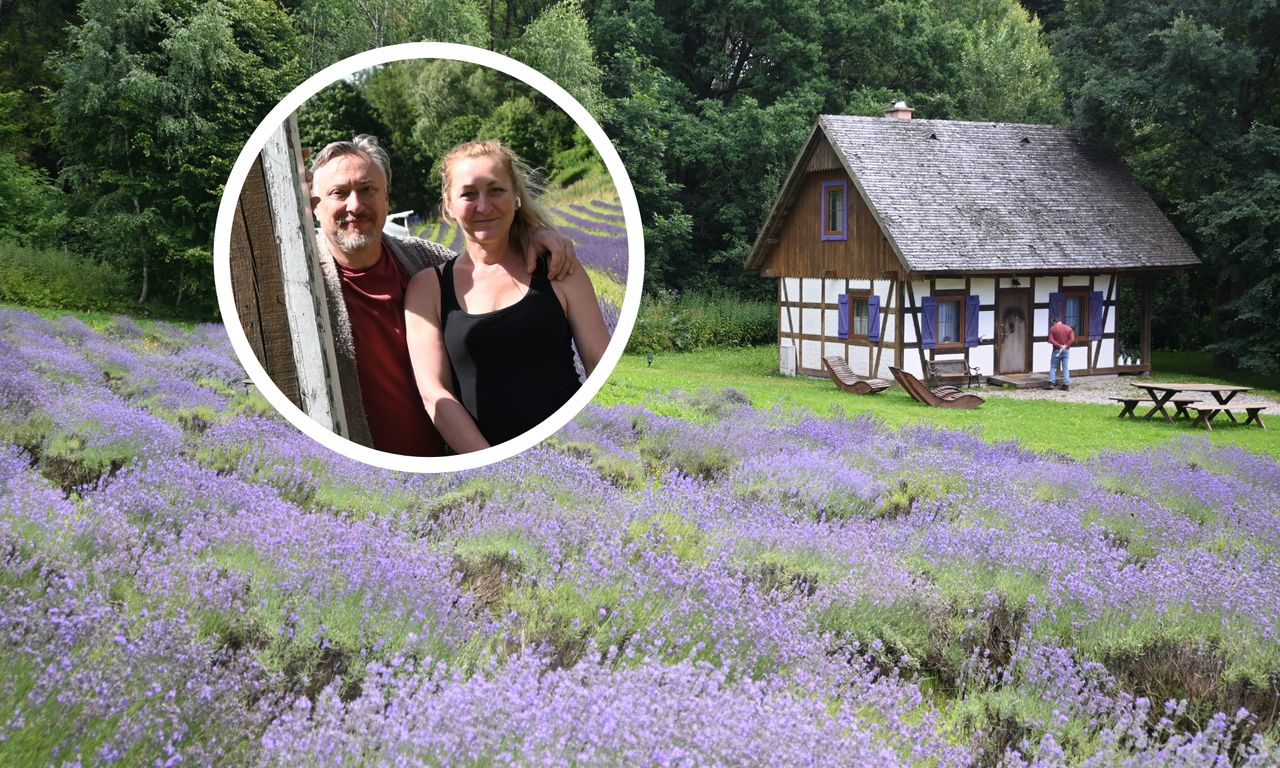 Zaczęło się od stania w korku na obwodnicy. Dziś pod Gdańskiem mają fioletowy raj