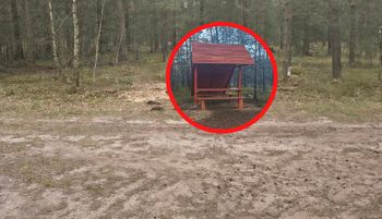 "To przykre". Leśnicy załamali ręce. Niebywałe, co się stało