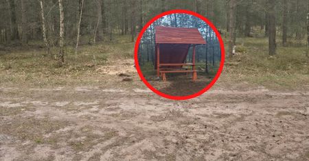 "To przykre". Leśnicy załamali ręce. Niebywałe, co się stało