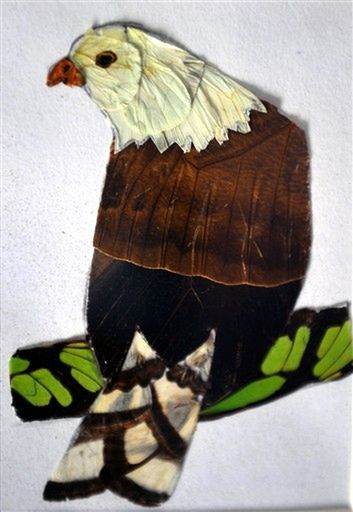 Obraz