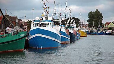 Kutry rybackie w porcie