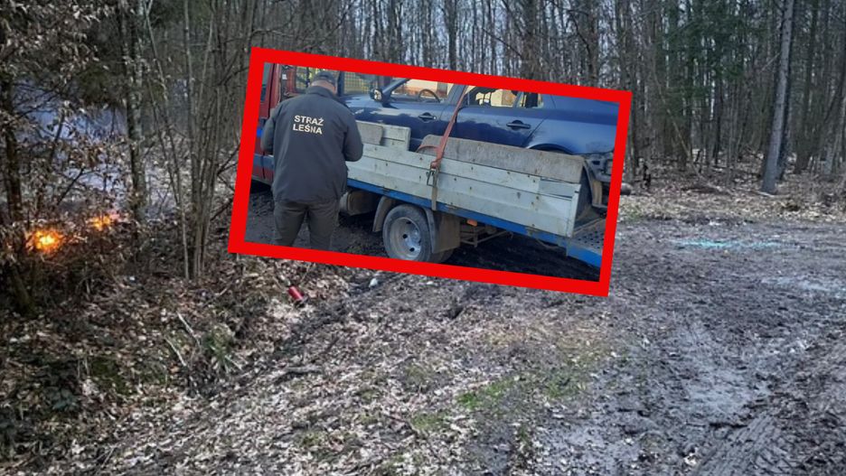 Kobieta paliła w lesie odpady samochodowe należące do skupu złomu