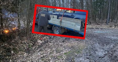 Skandaliczne odkrycie w lesie. Ustalają, kto stwarza poważne zagrożenie