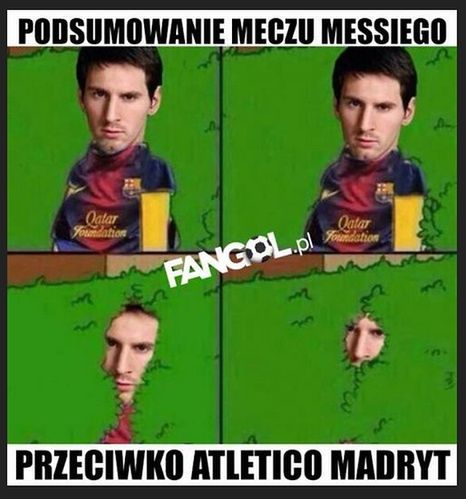 Fot. fangol.pl