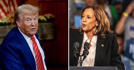 Gorąco przed wyborami w USA. Gdzie wolą Trumpa, a gdzie Harris?