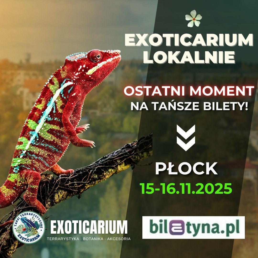 Zapraszamy na targi