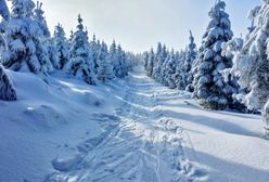 Prognoza pogody zima 2021. Czy w tym roku będzie mroźnie?