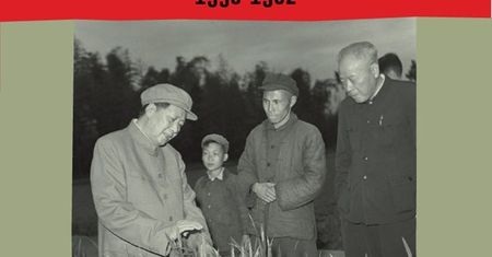 Miski pełne i miski puste