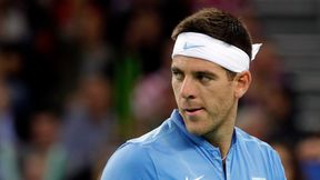 Juan Martin del Potro ponownie lepszy od Davida Ferrera