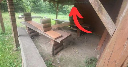 Zdewastowana wiata to jeszcze nic. Oto, co zauważyli leśnicy