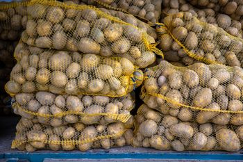 Tyle ton ziemniaków wyjechało z Polski. Ten kraj importuje najwięcej