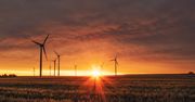 Chcesz być bardziej eko? Przyda ci się lista ważnych pojęć związanych z ochroną klimatu