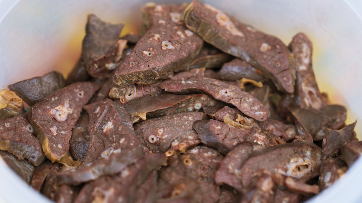 Płucka wieprzowe dawniej był przysmakiem