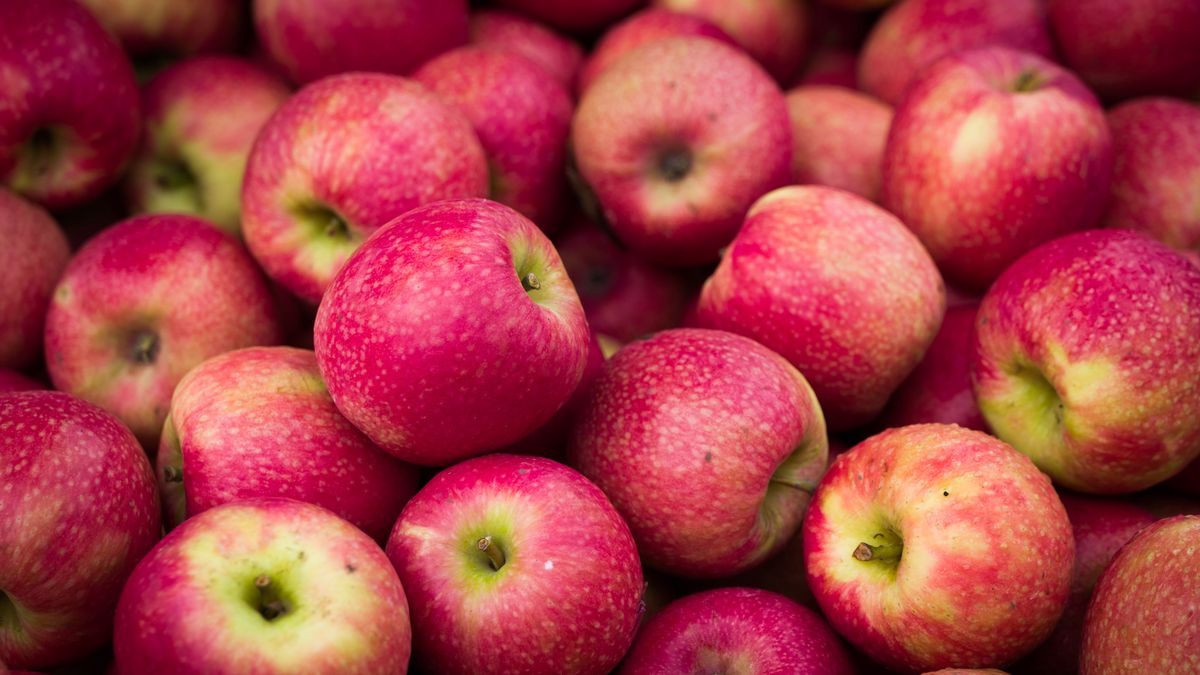 Ministerstwo Rolnictwa zamówiło ponad 82 tys. jabłek 