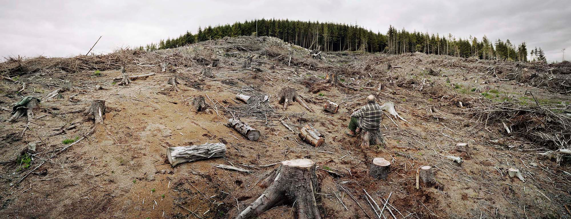 David Stewart prezentuje humorystyczny obraz Wielkiej Brytanii w swoim projekcie „Thirce Removed” 10