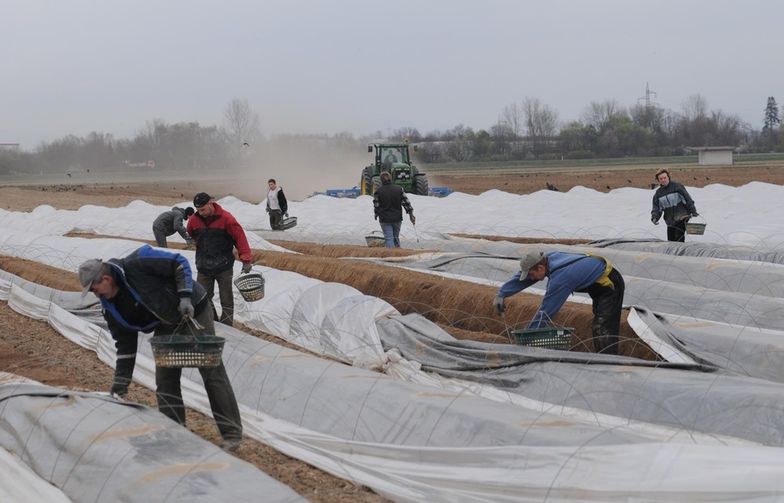 Sytuacja na rynku pracy jest ciągle bardzo dobra.