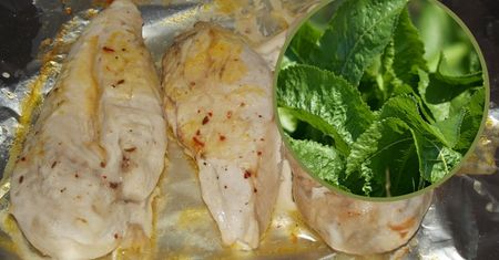 Zerwij i upiecz w nich kurczaka. Nadają się nie tylko do kiszenia ogórków