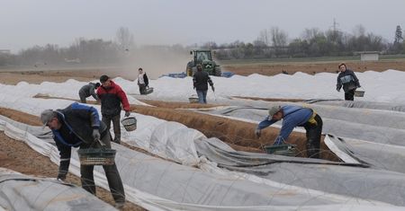 Jeśli wyjazd na saksy, to najczęściej do Niemiec. To najpopularniejszy wybór Polaków