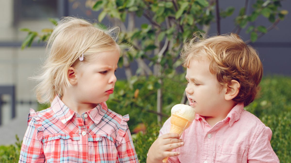 Lody z Ukrainy wycofane. Znamy powód