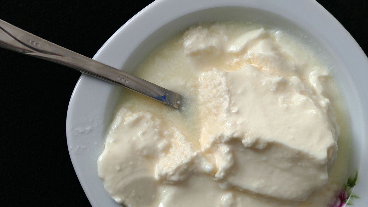 jogurt