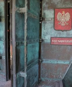 SN zarejestrował ponad 9 tys. protestów. Dużo więcej czeka w kolejce