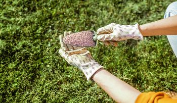 Trawnik po zimie wygląda fatalnie? Marzec to ostatni moment na ratunek
