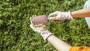 Trawnik po zimie wygląda fatalnie? Marzec to ostatni moment na ratunek