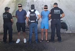 „Grek” deportowany do Szwecji. Policja mówi o przełomie w walce z gangami