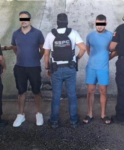 „Grek” deportowany do Szwecji. Policja mówi o przełomie w walce z gangami