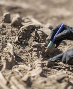 Niezwykłe odkrycie pod Raciborzem. Rolnik natrafił na groby sprzed 4 tys. lat